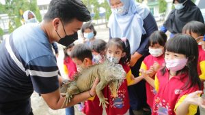 Edukasi Siswa TK Indo Global Mandiri bersama Komunitas Sumsel Reptil